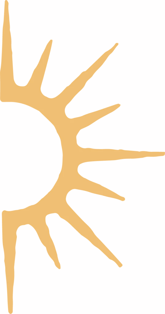 WCT 1sun 538x1024 1 - Mental Health Treatment Orange County | We Conquer Together